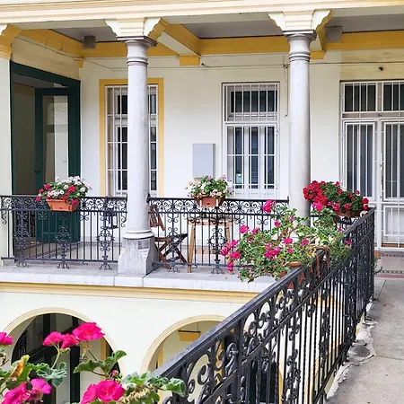 Ultra - Spacious - Noice Daire