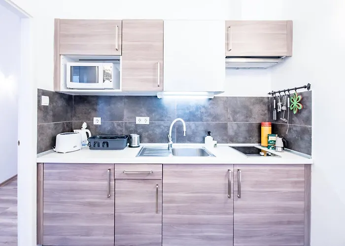 Ultra - Spacious - Noice Apartment *